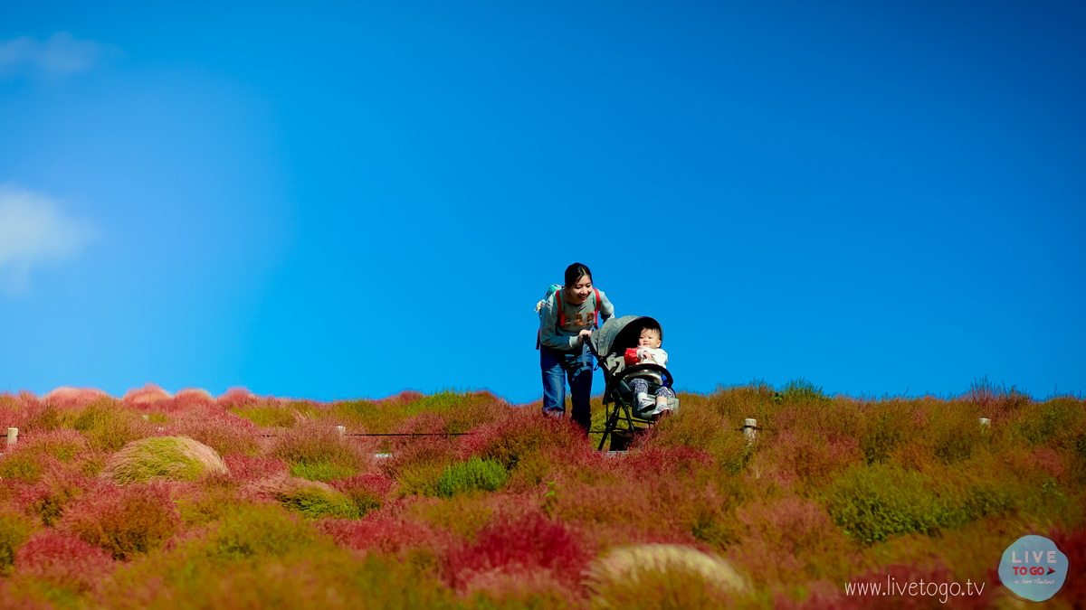 ซีไซด์ ปาร์คDSC00809_resize