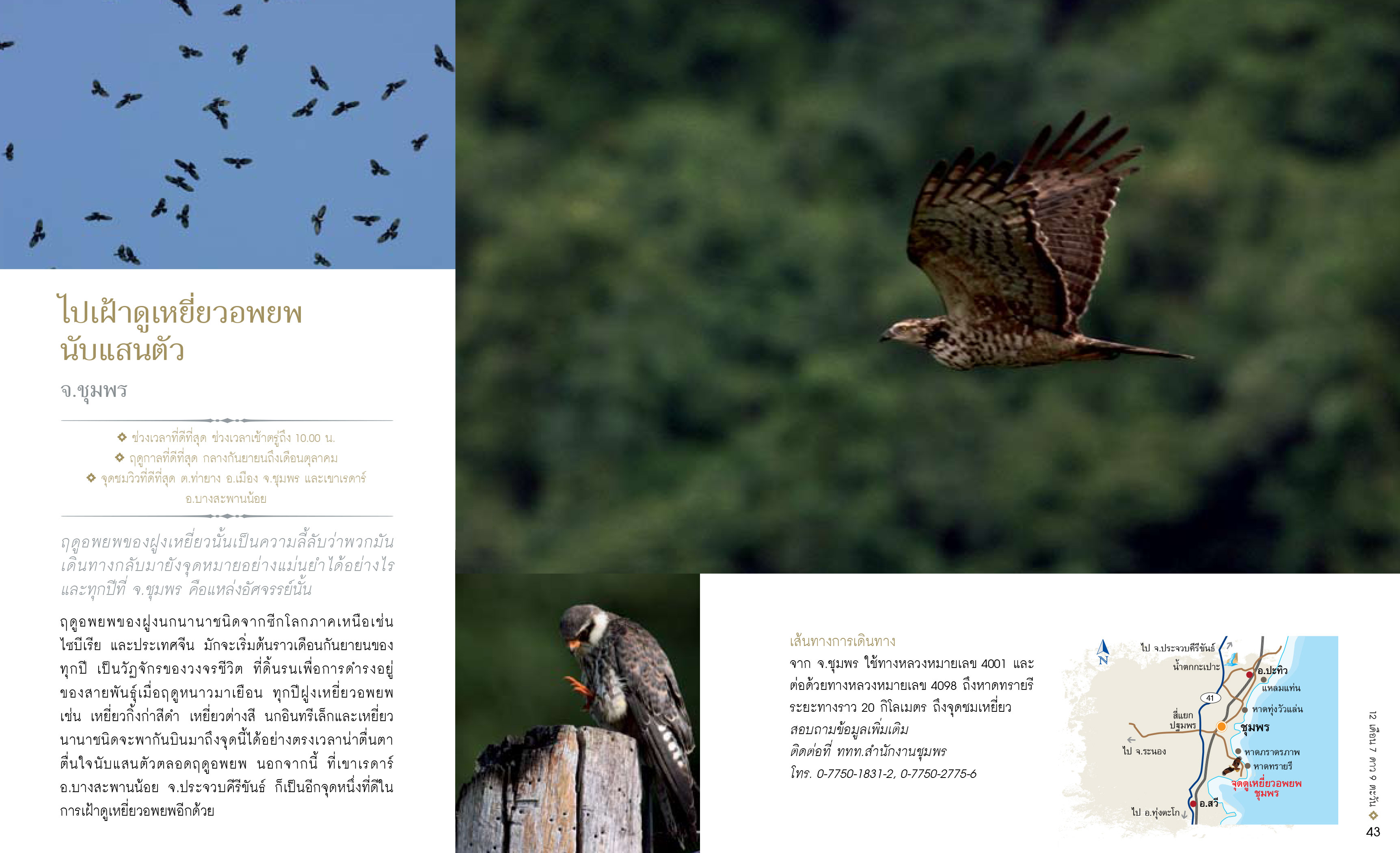 12เดือน7ดาว9ตะวัน-มหัศจรรย์เมืองไทย-ต้องไปสัมผัส-23