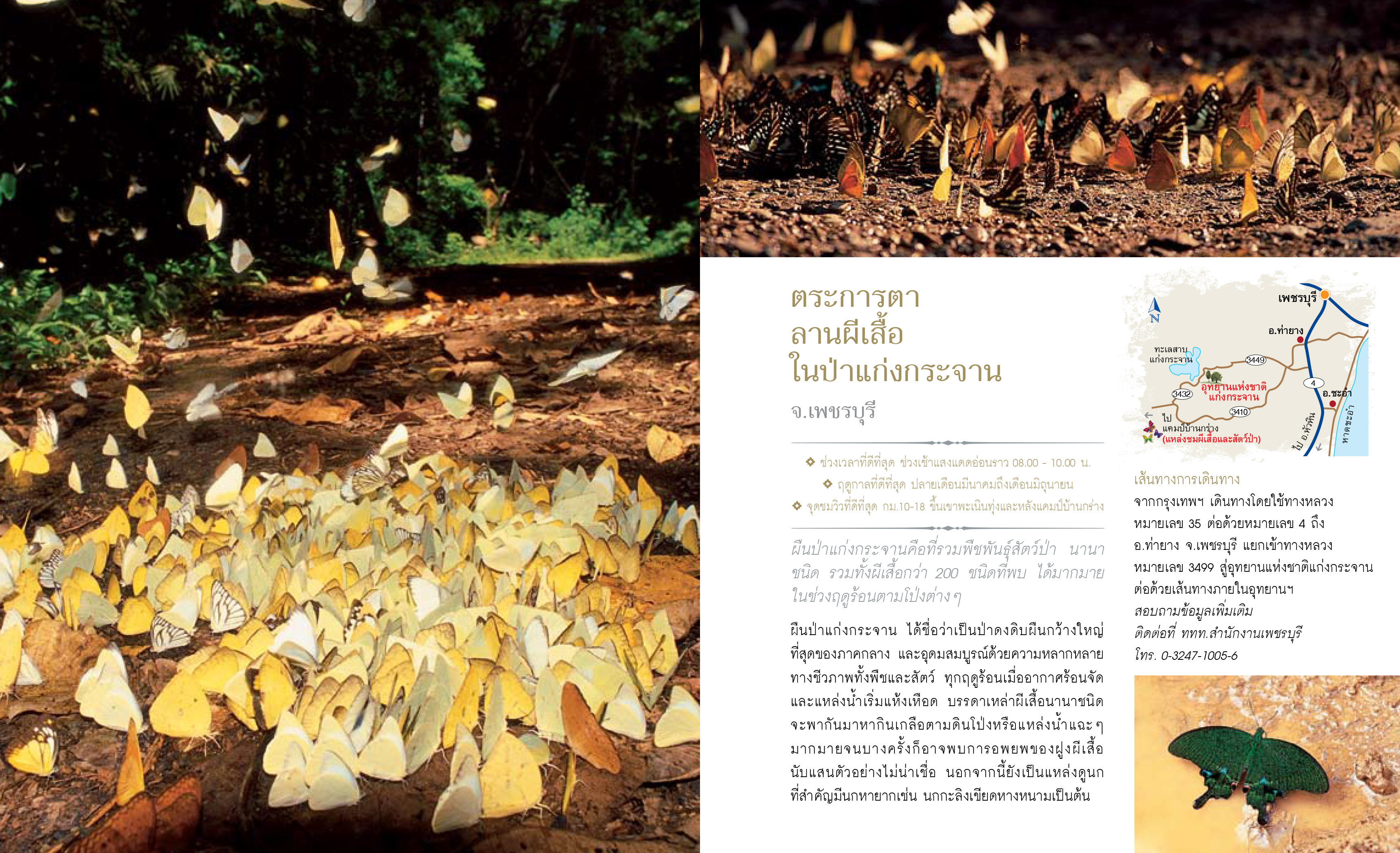 12เดือน7ดาว9ตะวัน-มหัศจรรย์เมืองไทย-ต้องไปสัมผัส-13