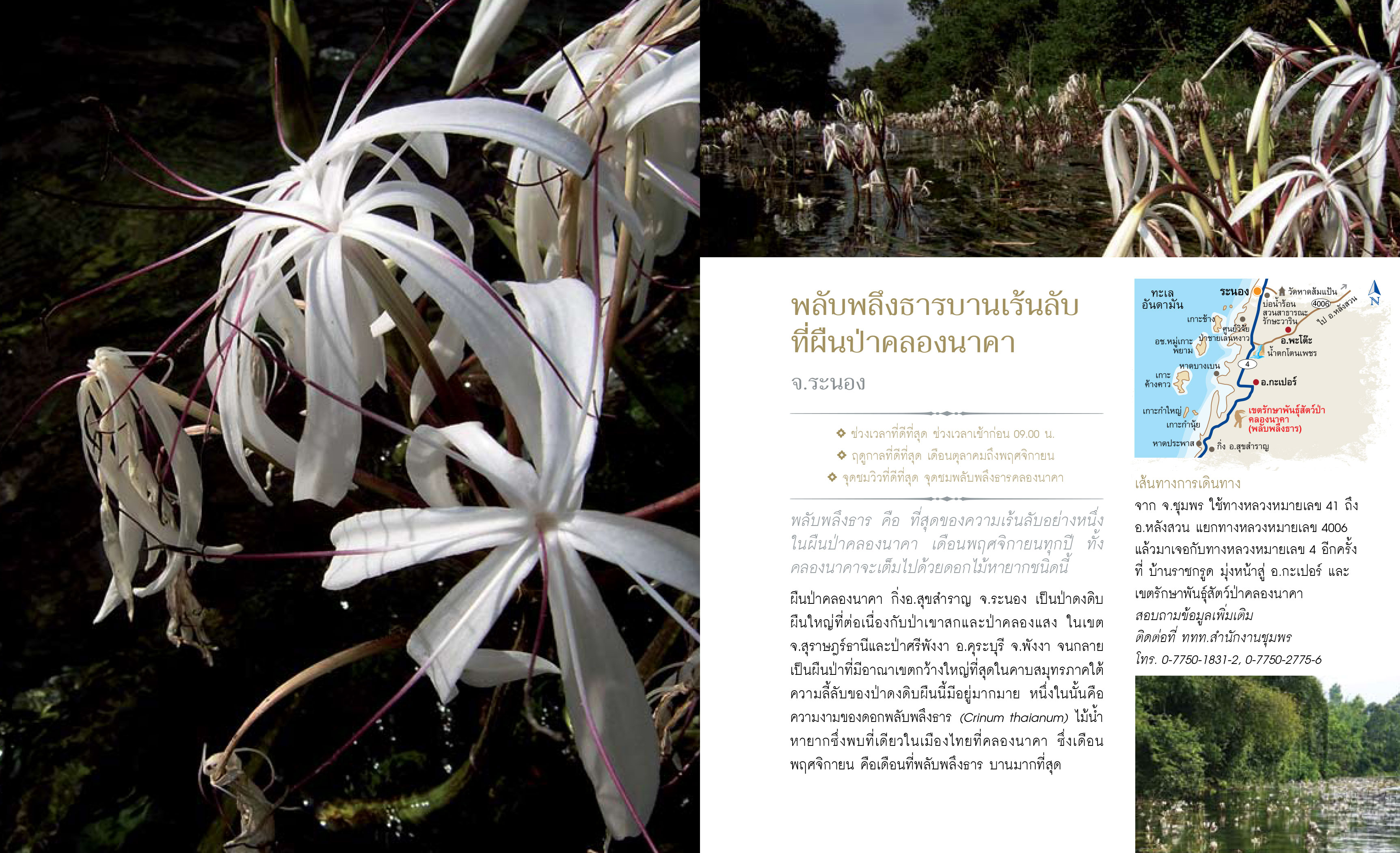 12เดือน7ดาว9ตะวัน-มหัศจรรย์เมืองไทย-ต้องไปสัมผัส-27