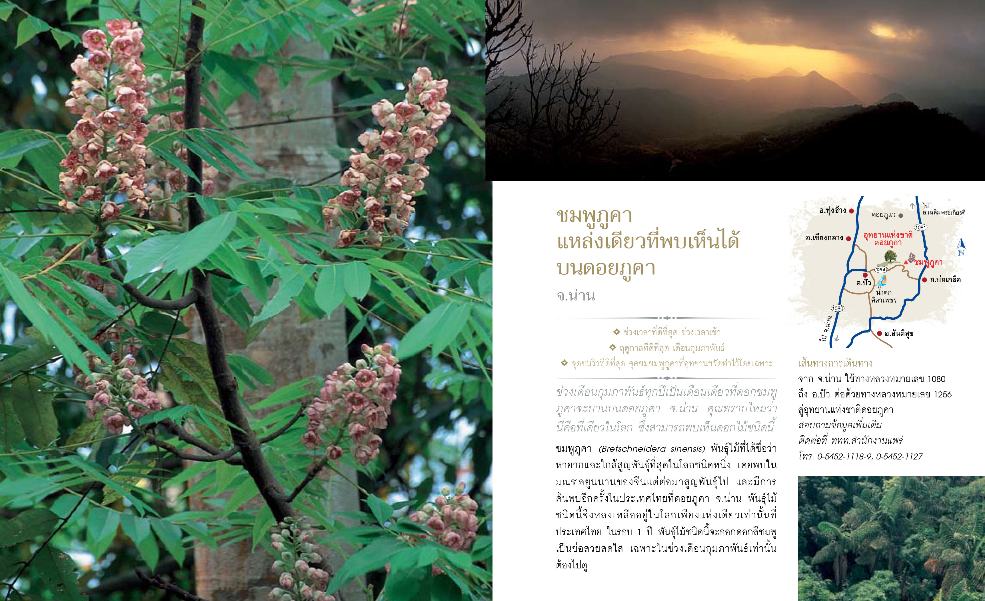 12เดือน7ดาว9ตะวัน-มหัศจรรย์เมืองไทย-ต้องไปสัมผัส-8