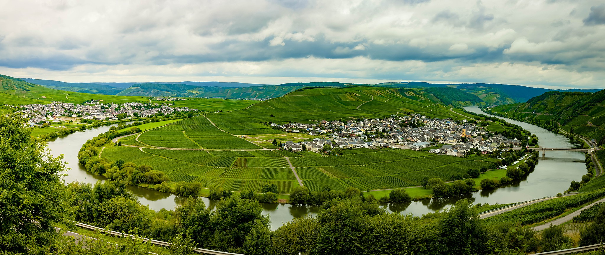 Rinjanimosel-2635484