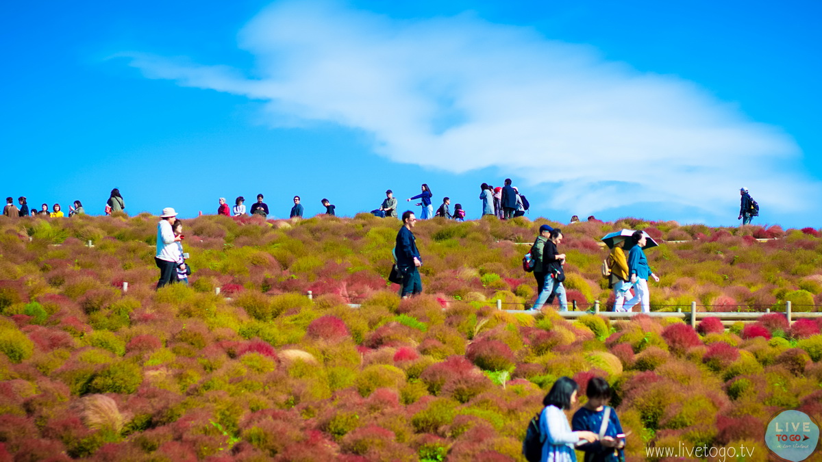 ซีไซด์ ปาร์คDSC00833_resize