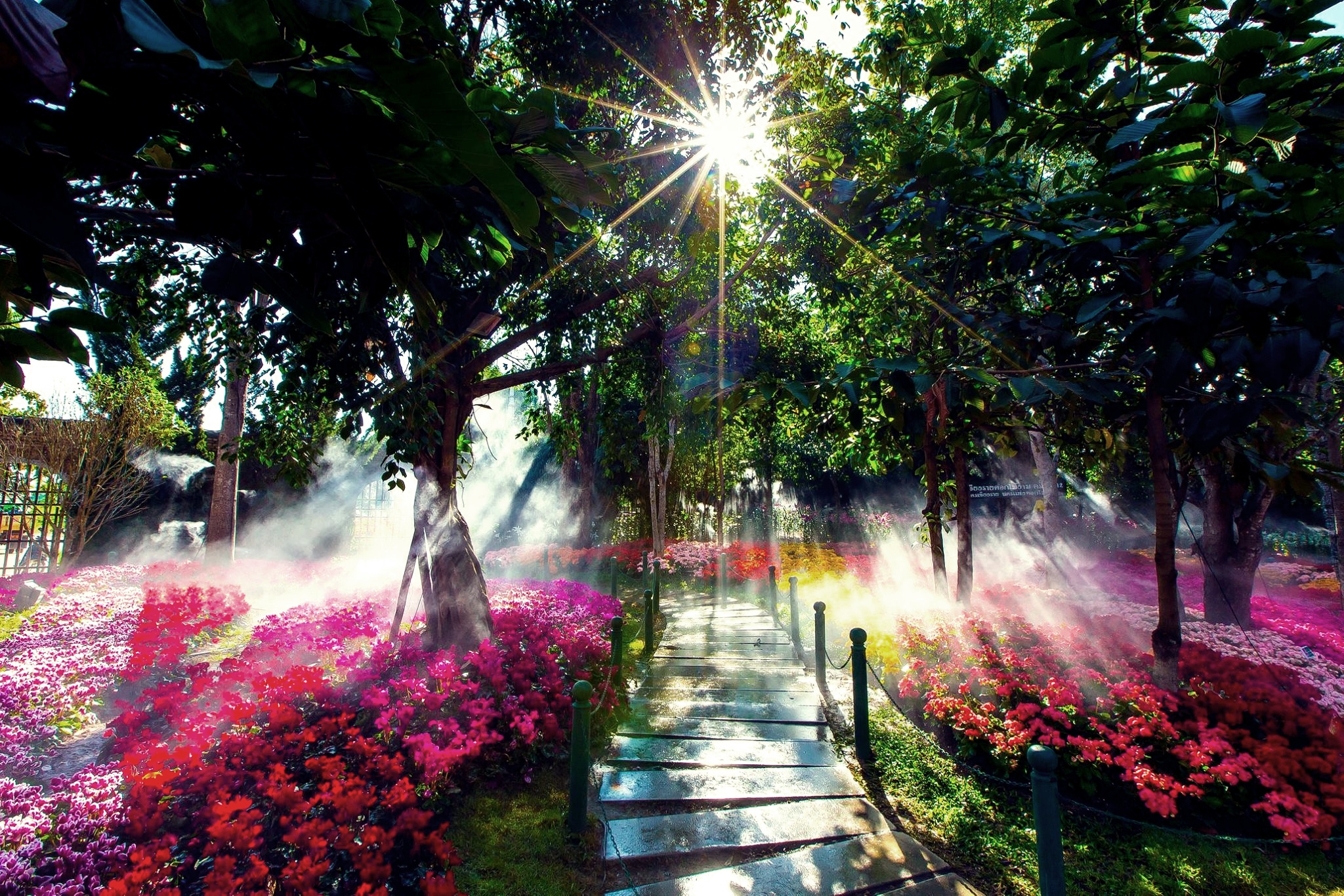 12471667_559772217522684_8209316812039309193_o