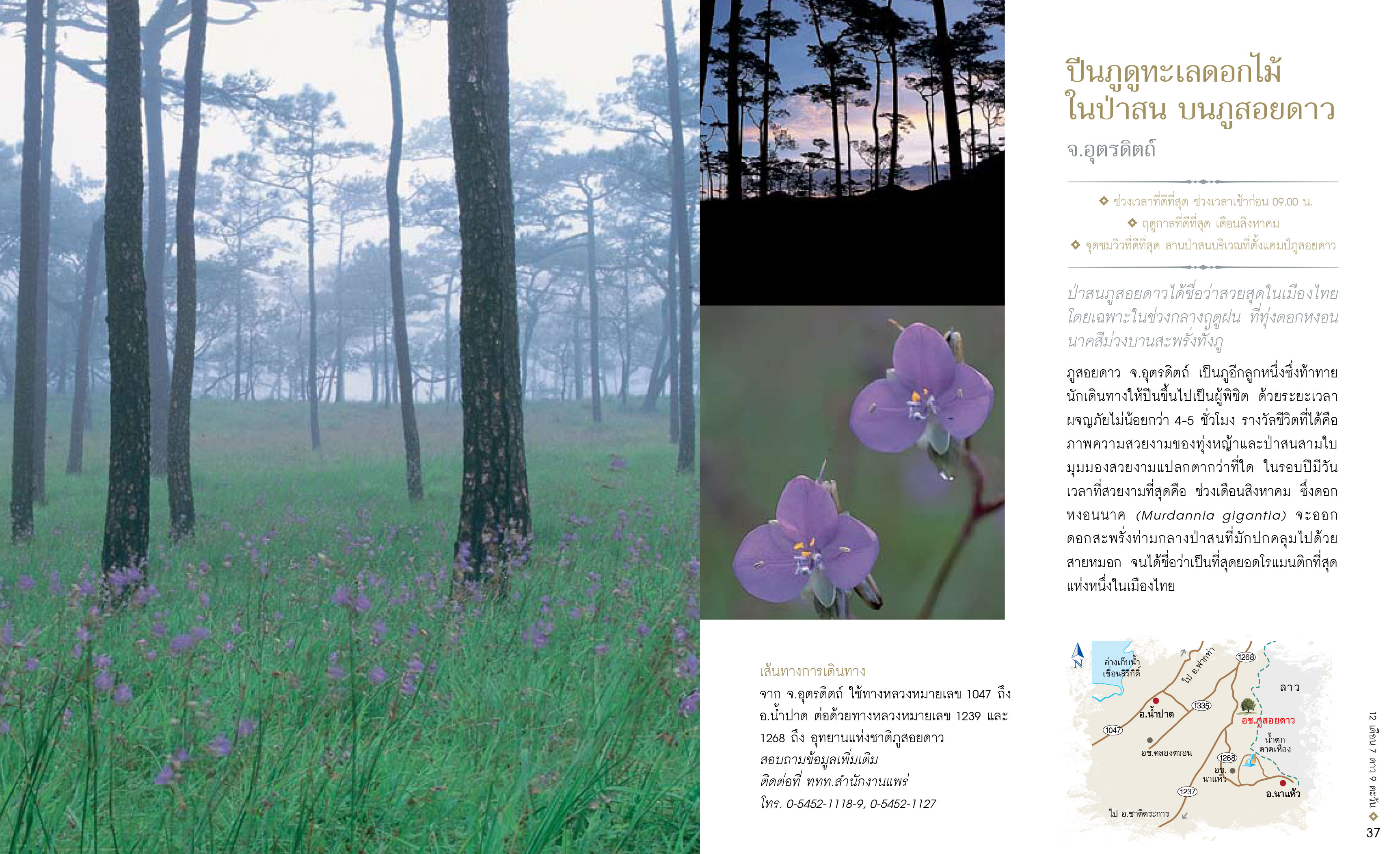 12เดือน7ดาว9ตะวัน-มหัศจรรย์เมืองไทย-ต้องไปสัมผัส-20