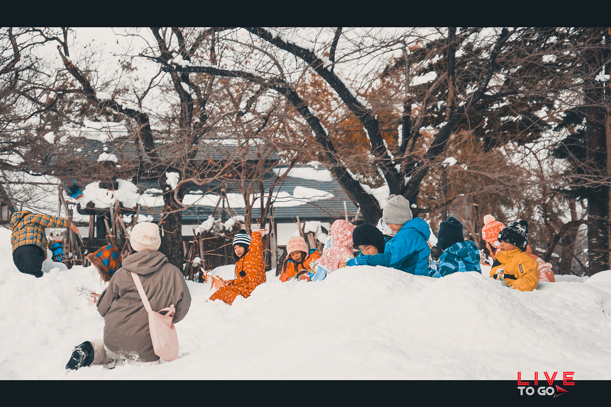 เทศกาลโยโคเตะ คามาคูระ 