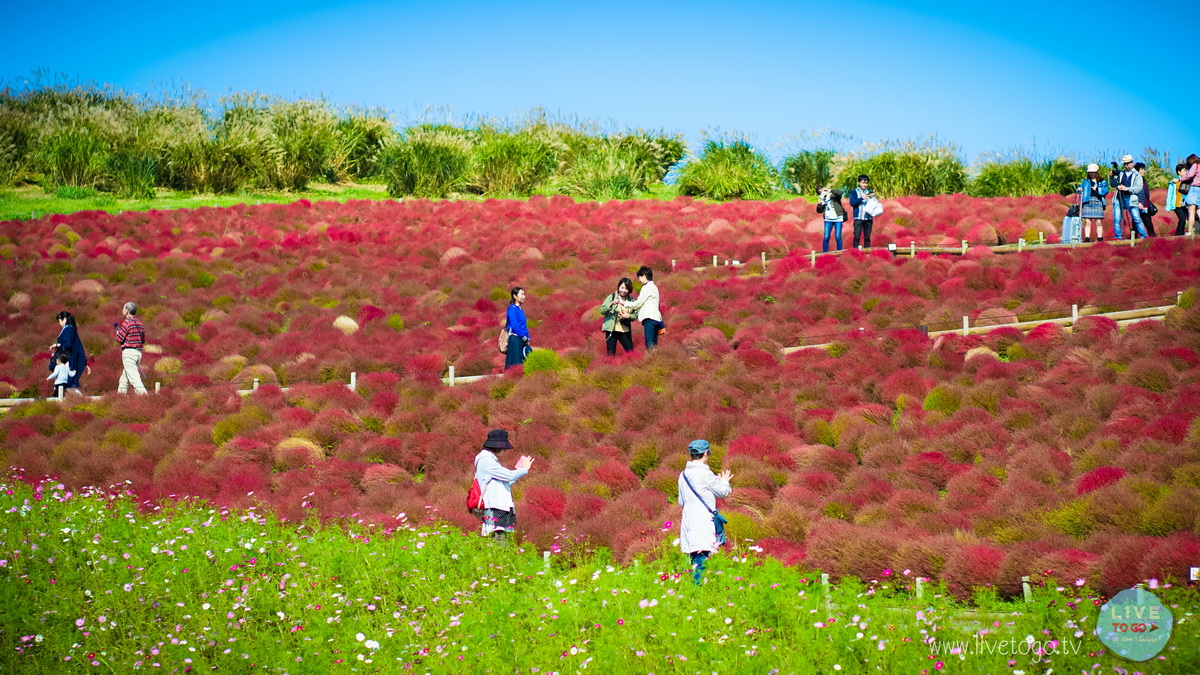 ซีไซด์ ปาร์คDSC00835_resize