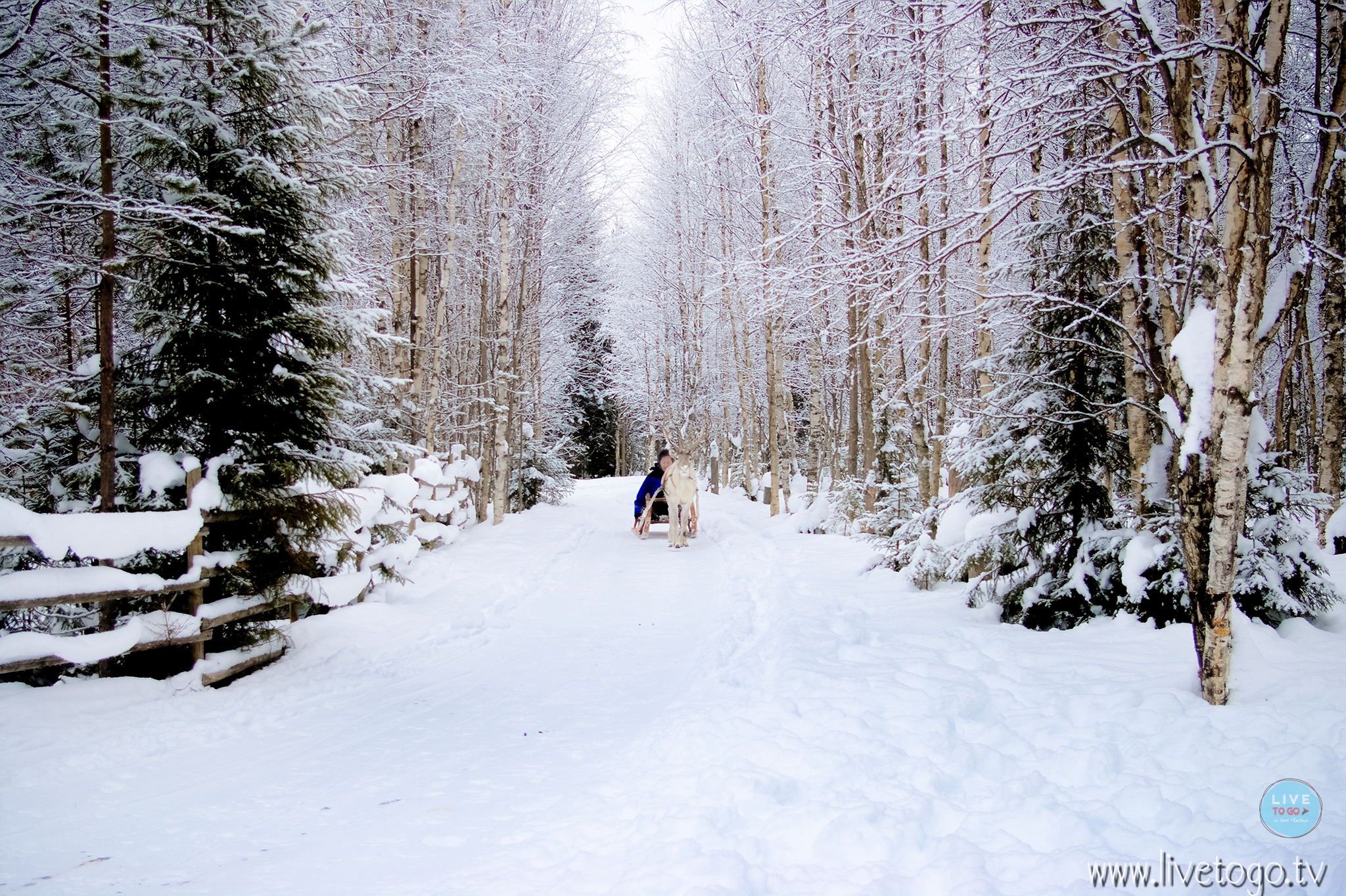 IMGP8655โรวานีมี่ฟินแลนด์