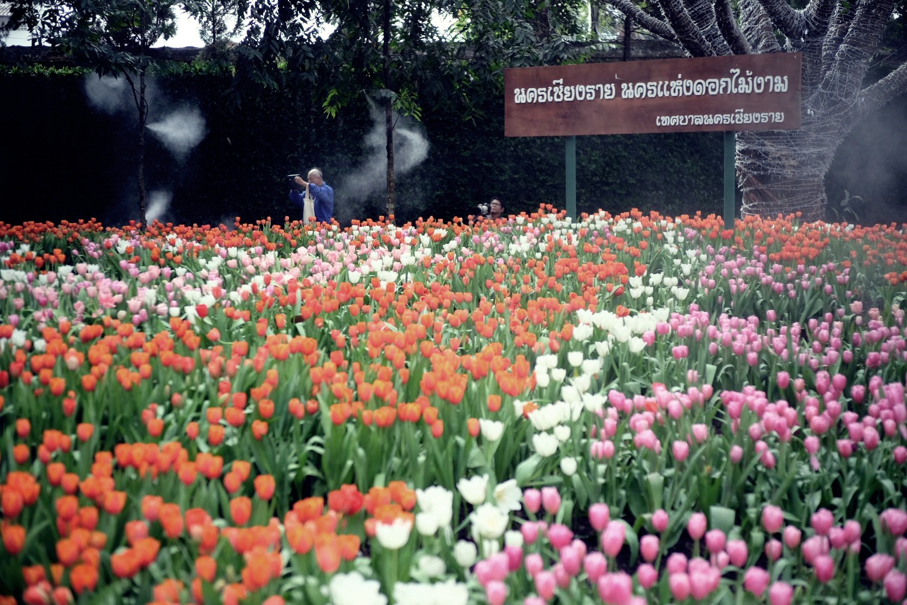 15723404_735462776620293_459903834262305805_o