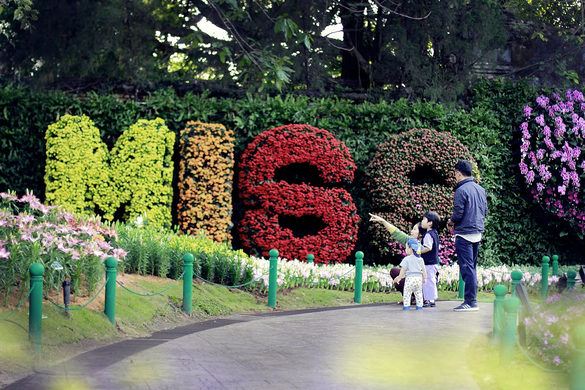 50022305_1190431974456702_4763052966724763648_o