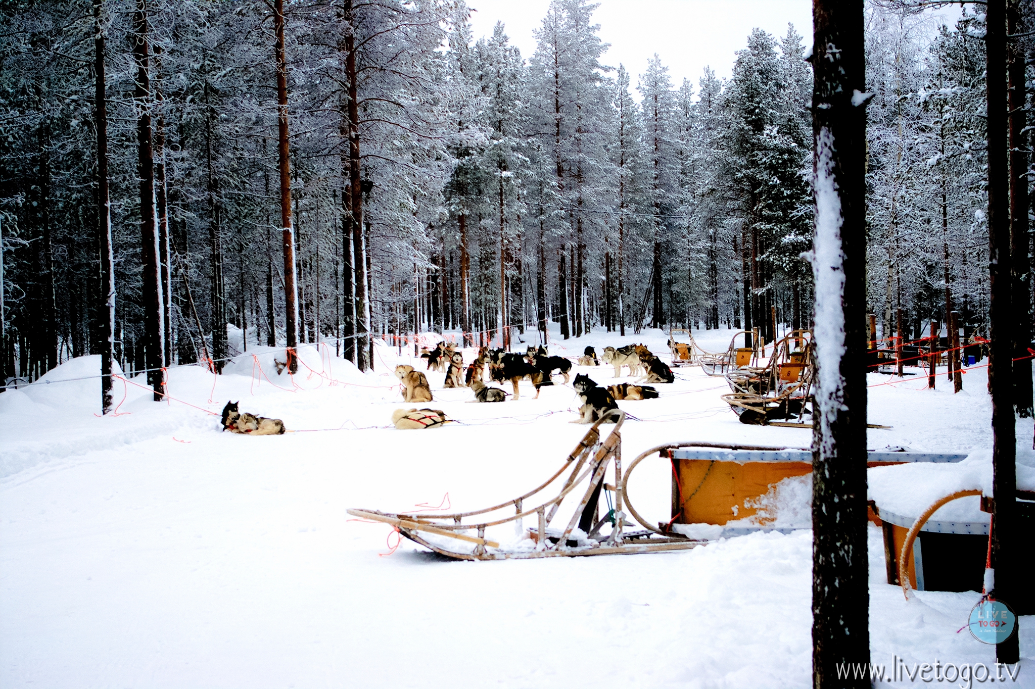 IMGP8688โรวานีมี่ฟินแลนด์