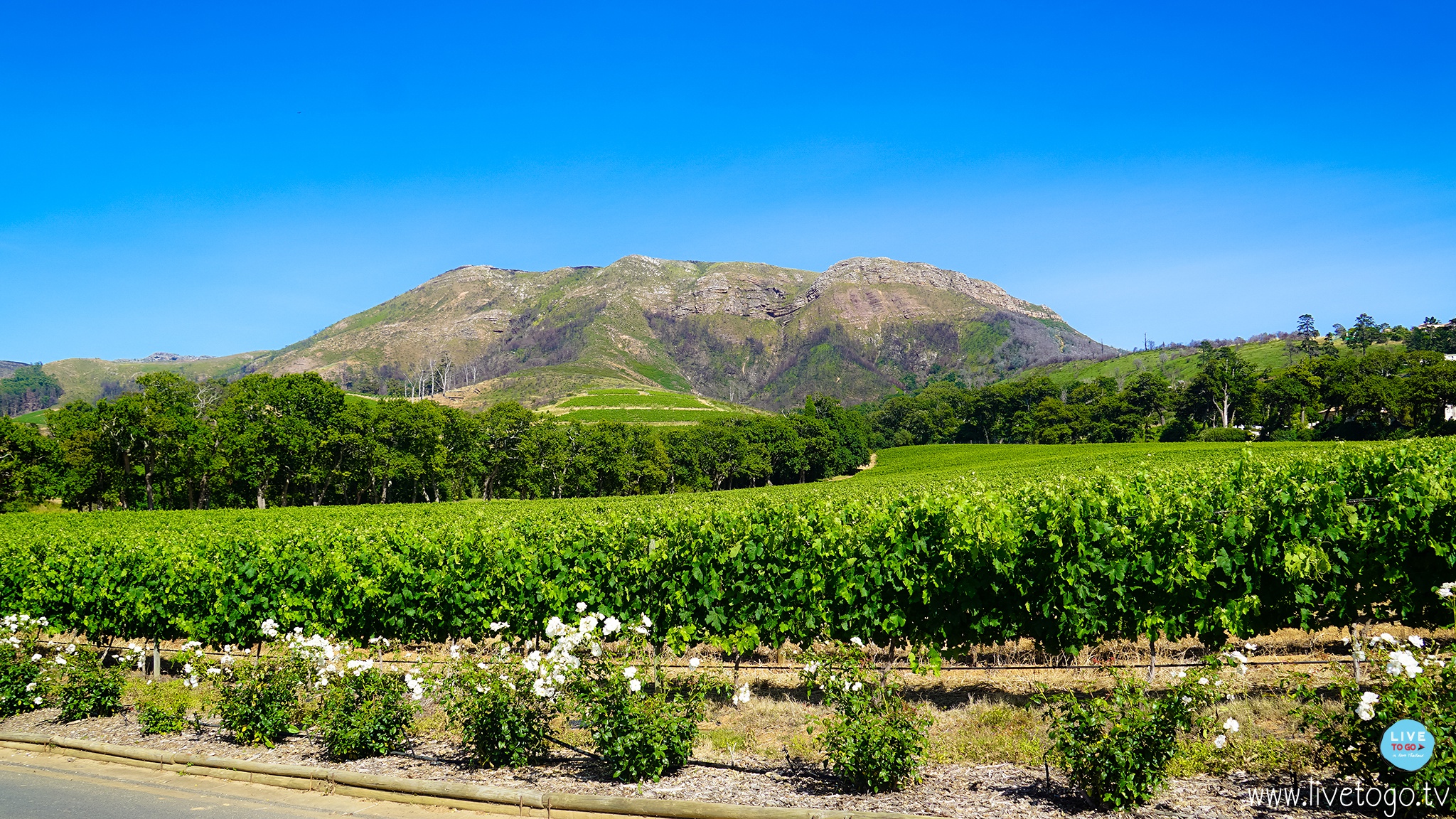 Groot ConstantiaDSC00807_fb