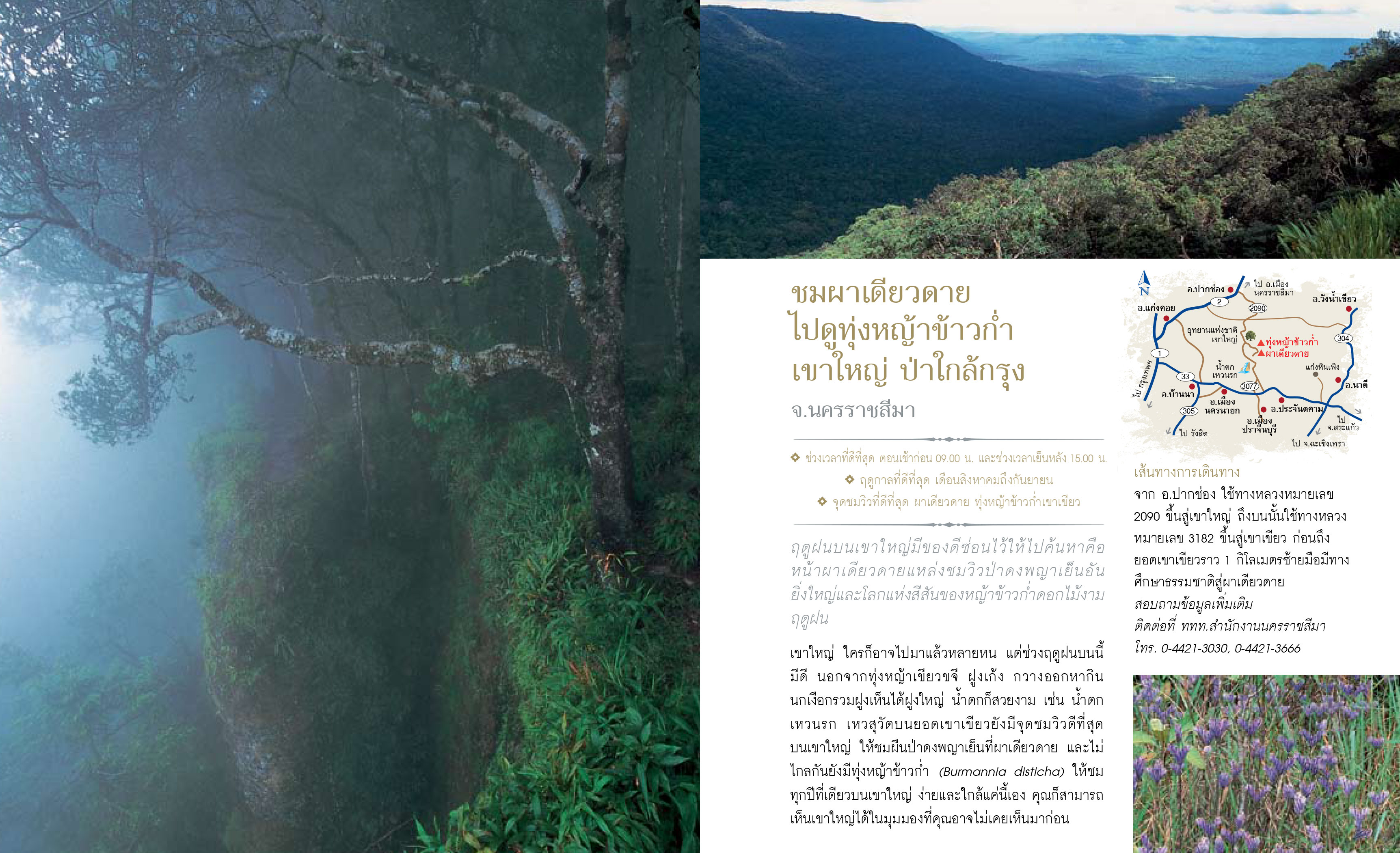 12เดือน7ดาว9ตะวัน-มหัศจรรย์เมืองไทย-ต้องไปสัมผัส-21