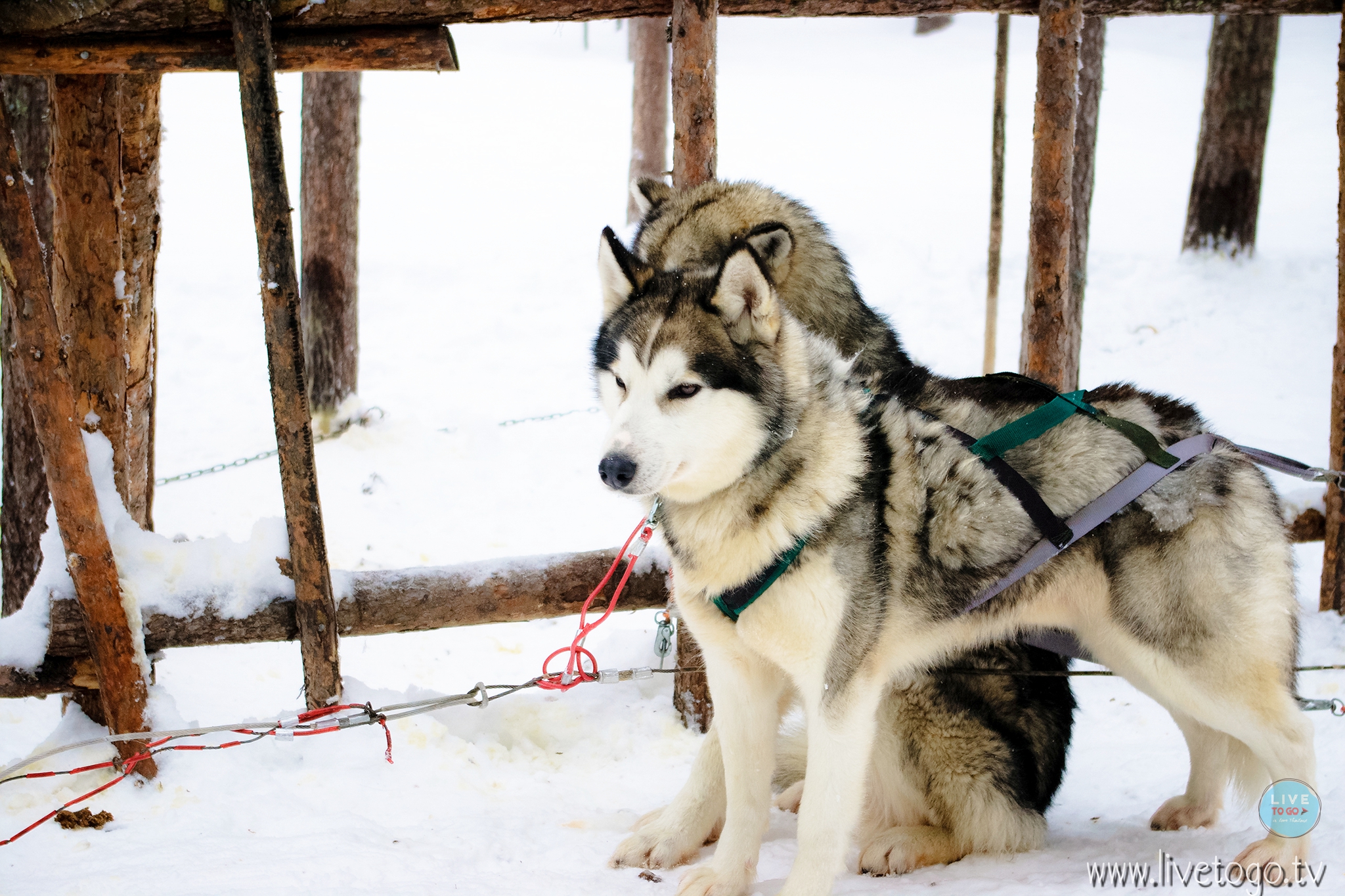 IMGP8689โรวานีมี่ฟินแลนด์