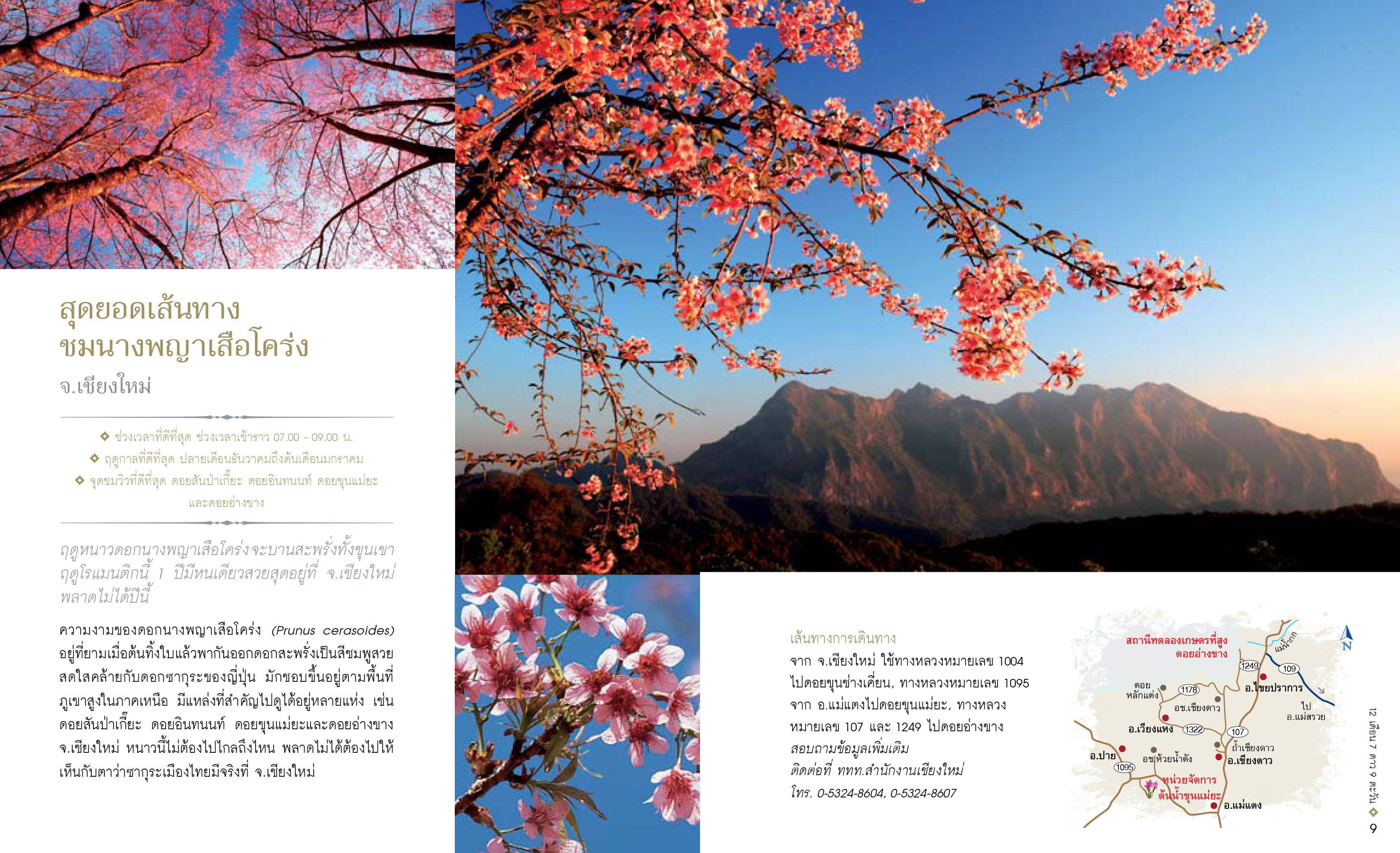 12เดือน7ดาว9ตะวัน-มหัศจรรย์เมืองไทย-ต้องไปสัมผัส-6