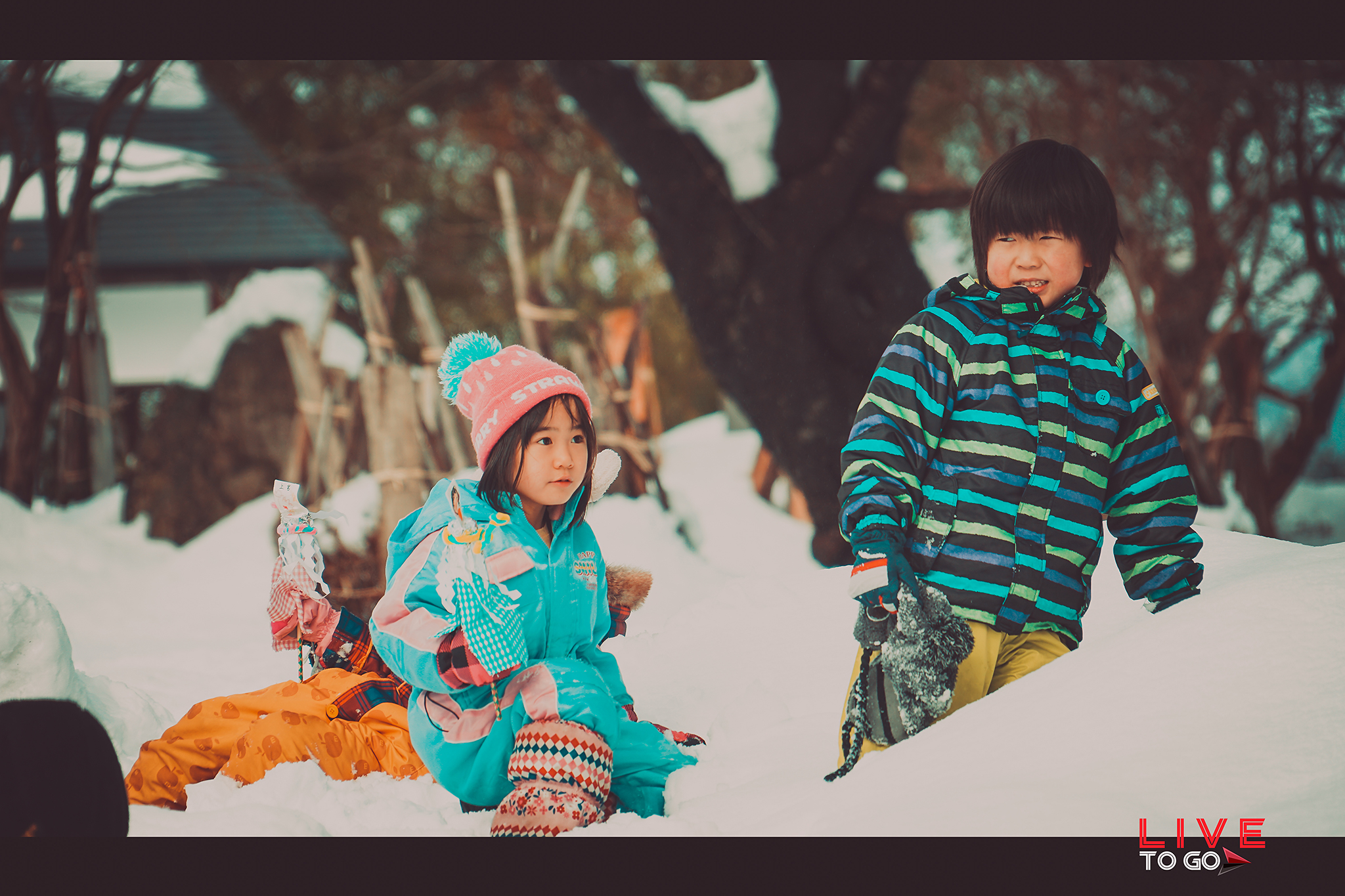 เทศกาลโยโคเตะ คามาคูระ 