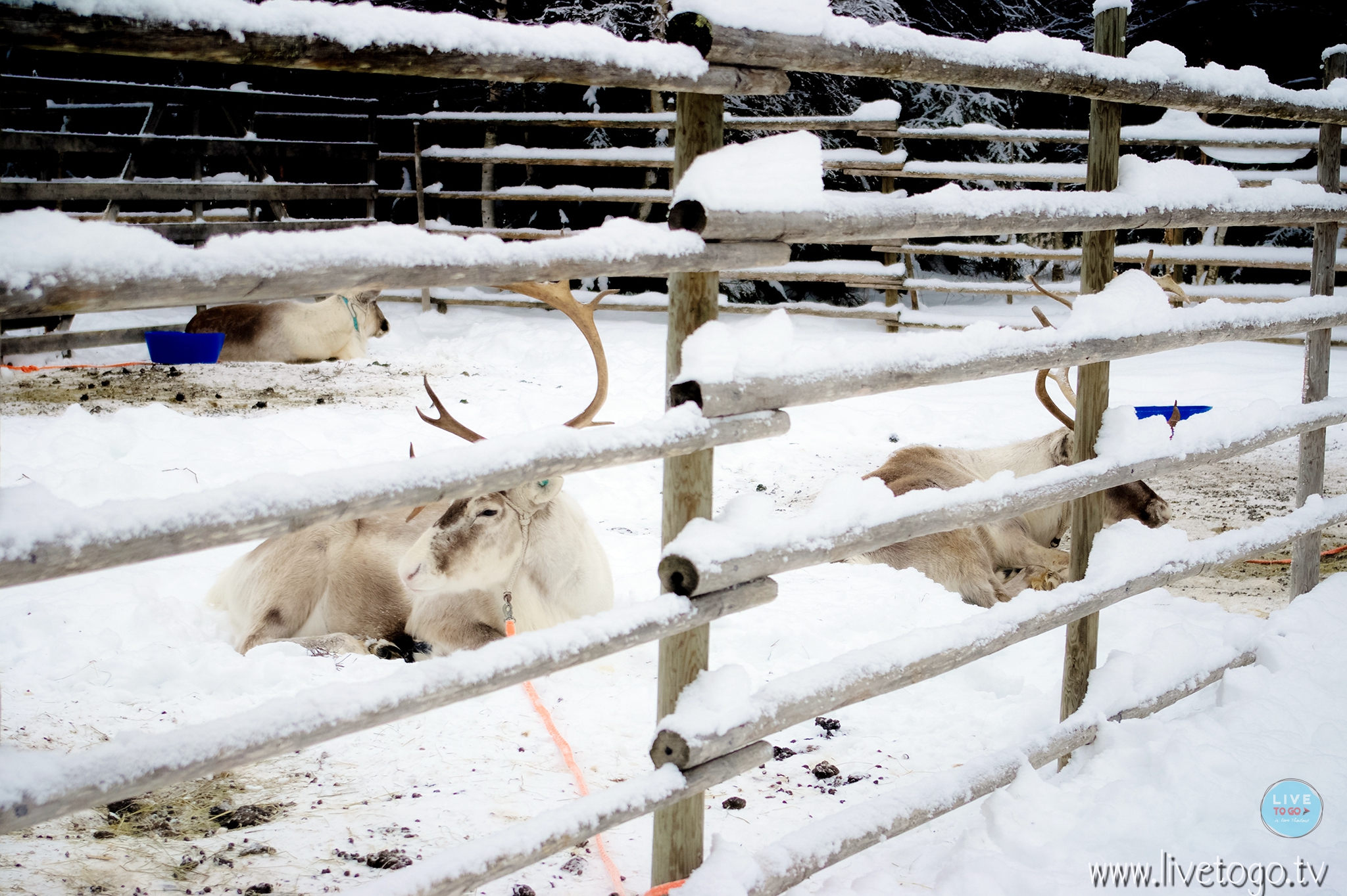 IMGP8648โรวานีมี่ฟินแลนด์