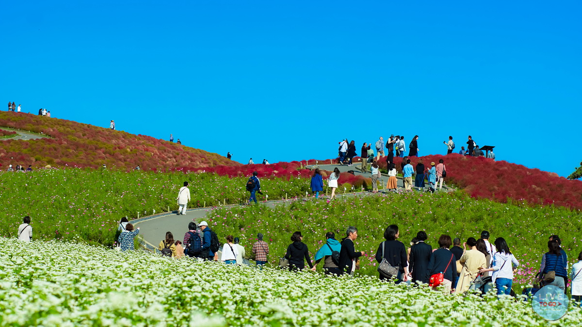 ซีไซด์ ปาร์คDSC00865_resize