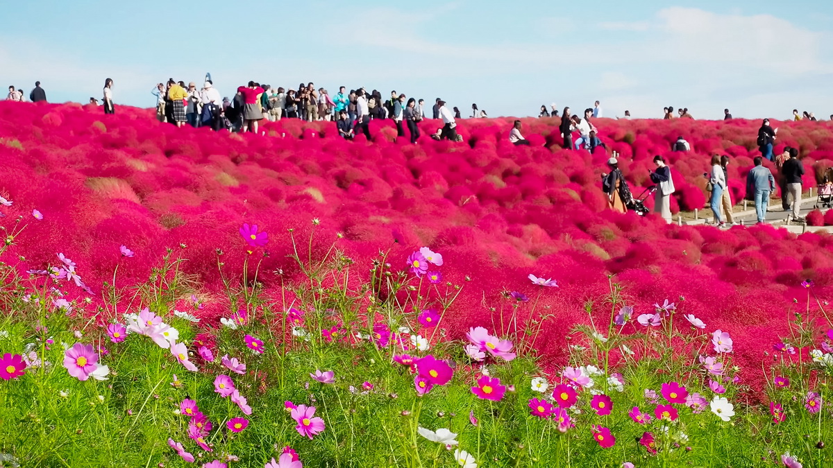 ซีไซด์ ปาร์ค001-2_resize