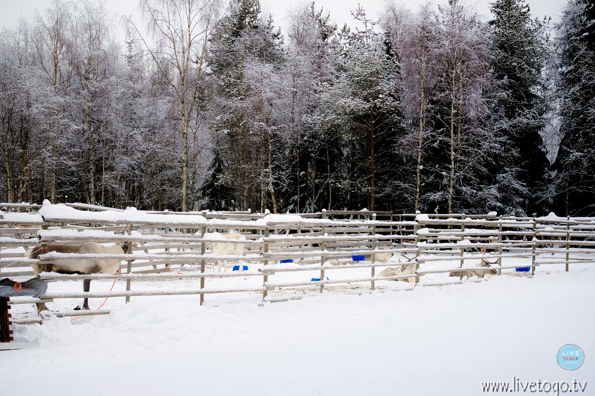 IMGP8644โรวานีมี่ฟินแลนด์