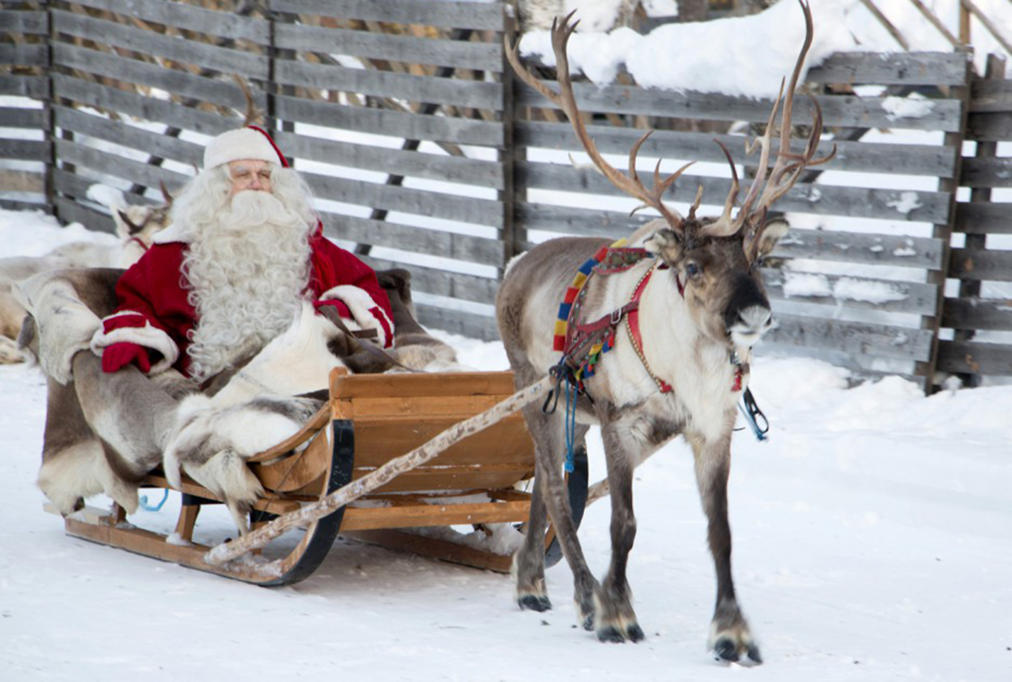2-A-santa-reindeer-ride-facebook-copy-938x668