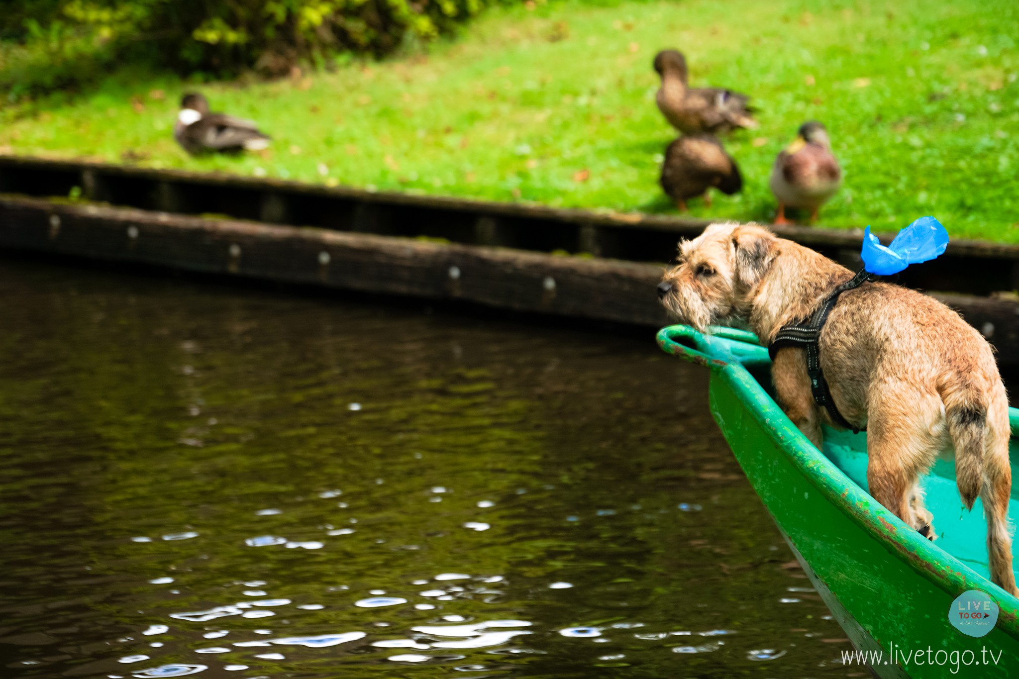 หมู่บ้านกีธูร์น GIETHOORNDSC09522_fb